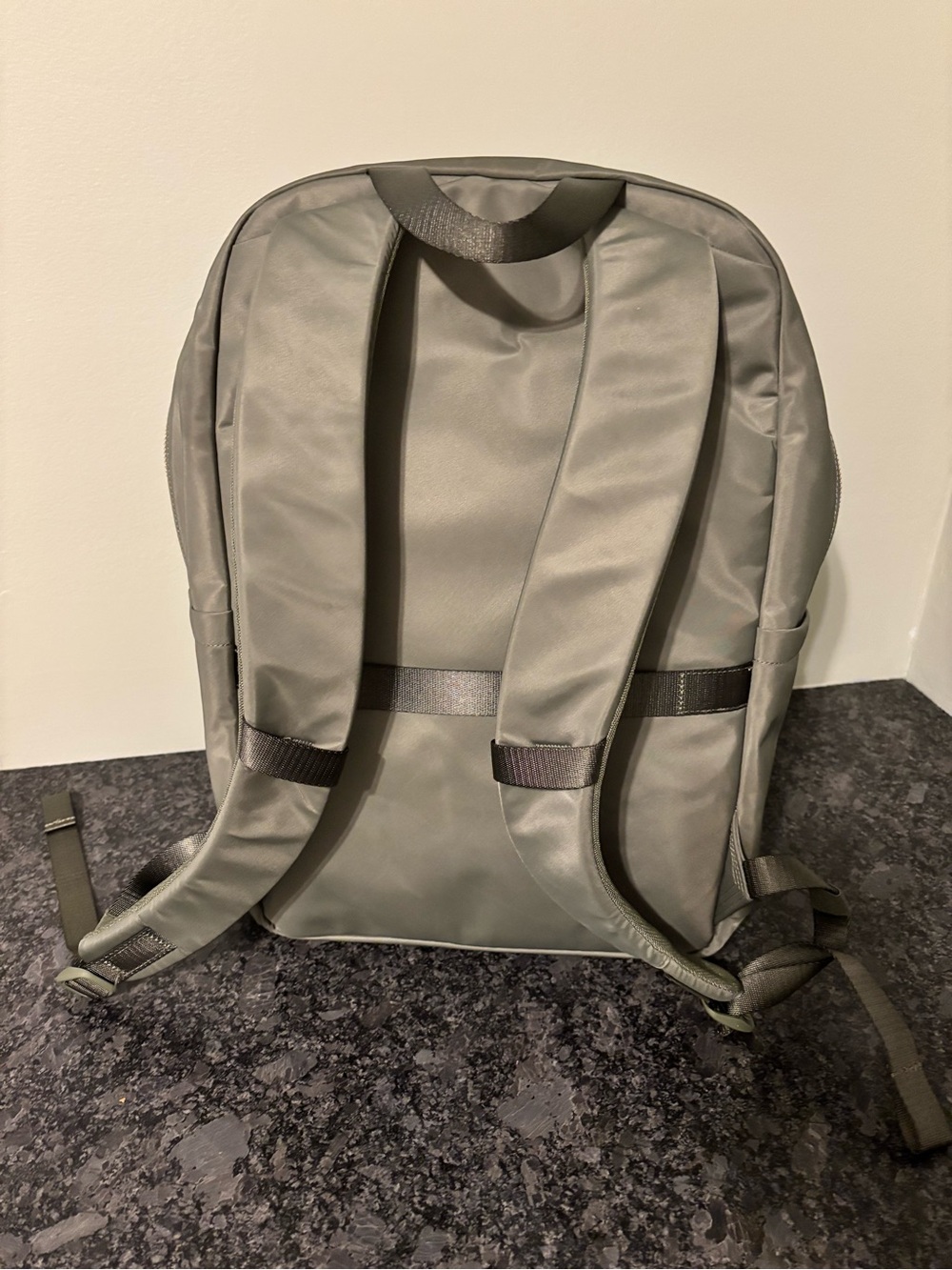 Lululemon Everywhere Backpack 22L
Metal Hardware - Picture 3 of 4